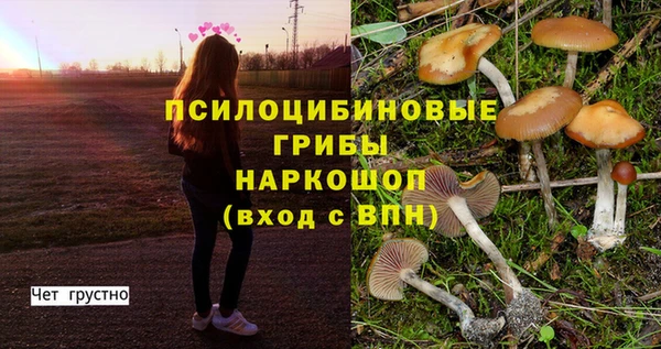 ГАЛЛЮЦИНОГЕННЫЕ ГРИБЫ Зеленодольск