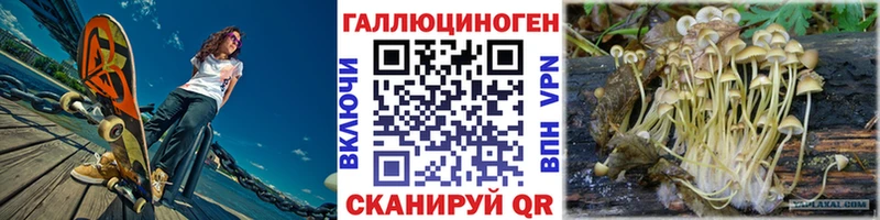 Галлюциногенные грибы мицелий  Купить  Отрадное 
